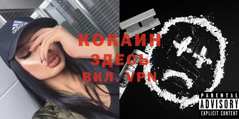 мориарти как зайти  Кемь  Cocaine Боливия 