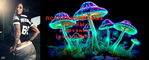 PSILOCYBIN Богородск